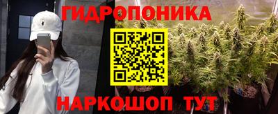 a pvp Заводоуковск
