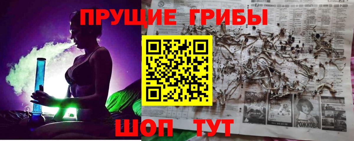 Псилоцибиновые грибы Magic Shrooms Малгобек